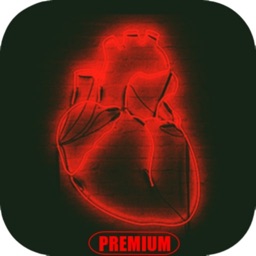 Queridos Textos Premium