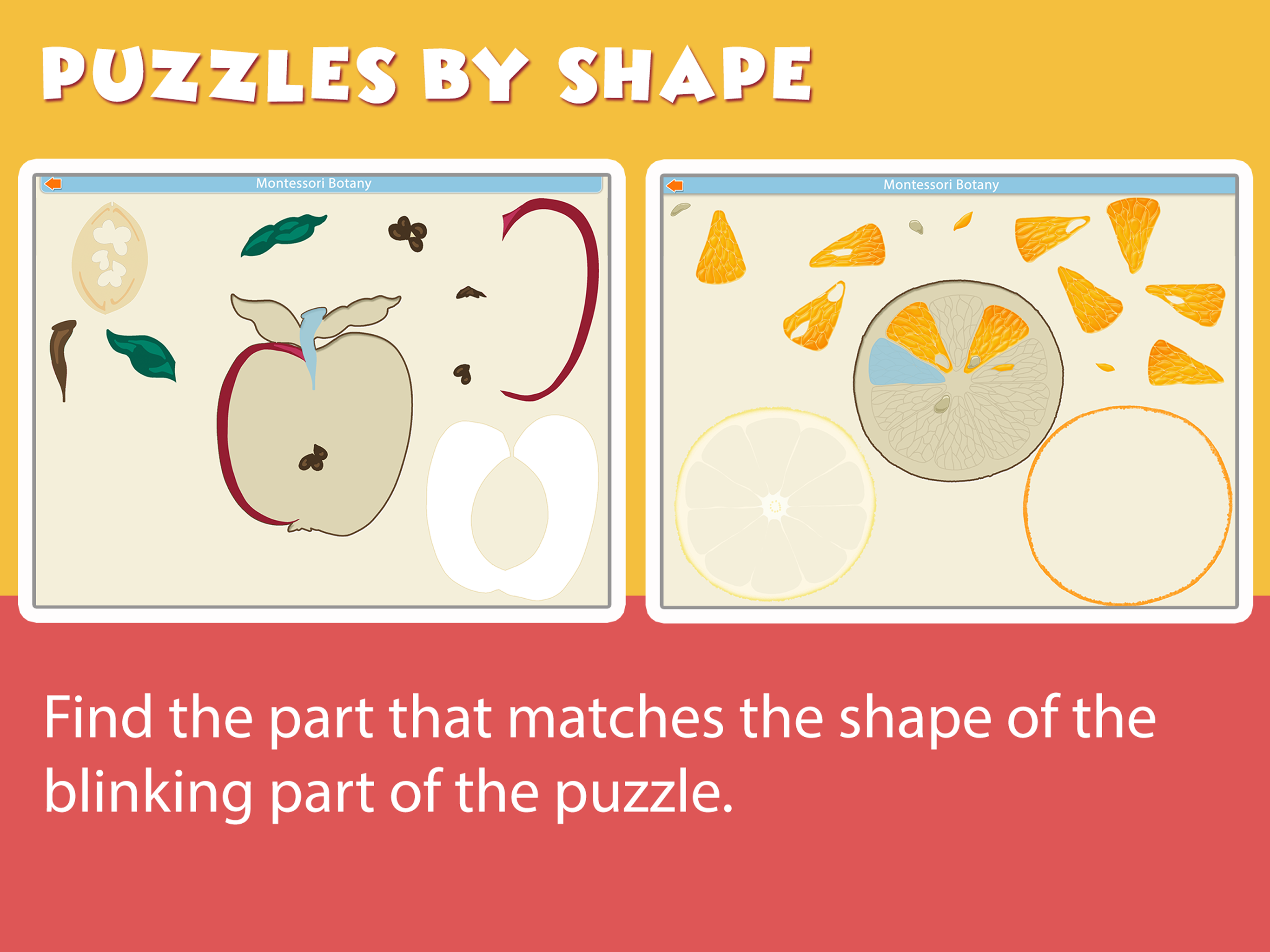 Montessori Parts of Fruits screenshot 10