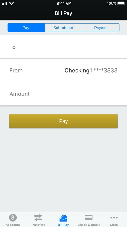 American Bank N.A. screenshot-4