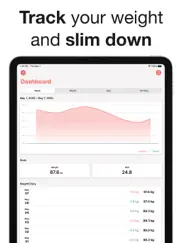 slim айпад изображения 1