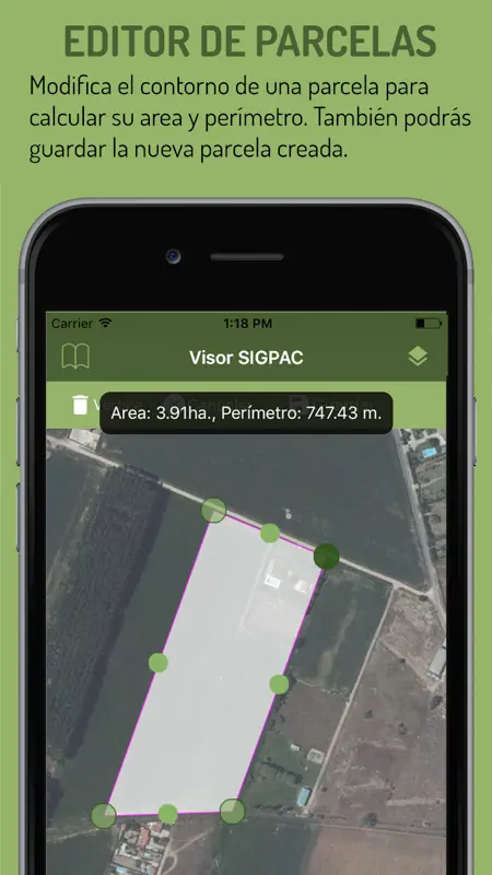 Visor SIGPAC screenshot 3 of 4