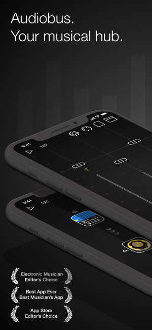 ‎Audiobus: Mixer for music apps Screenshot