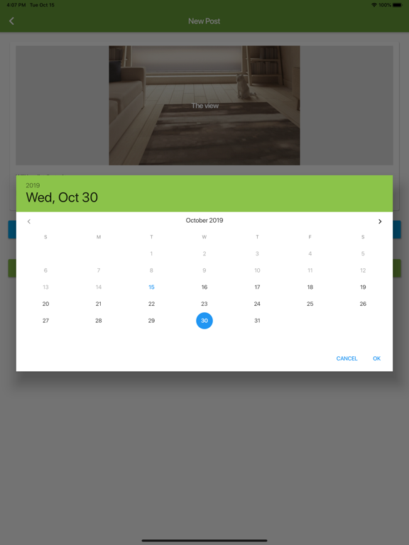 Social Scheduler by SeoSamba iPad screenshot 5 - Business app