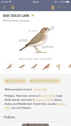 BWP screenshot 4