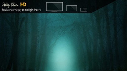 Screenshot #2 pour Misty Rain HD
