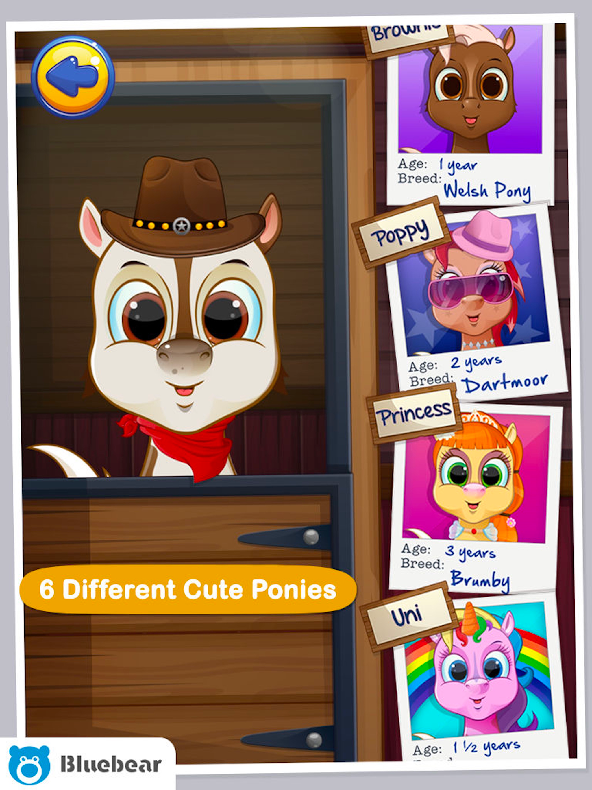 Pony Doctor