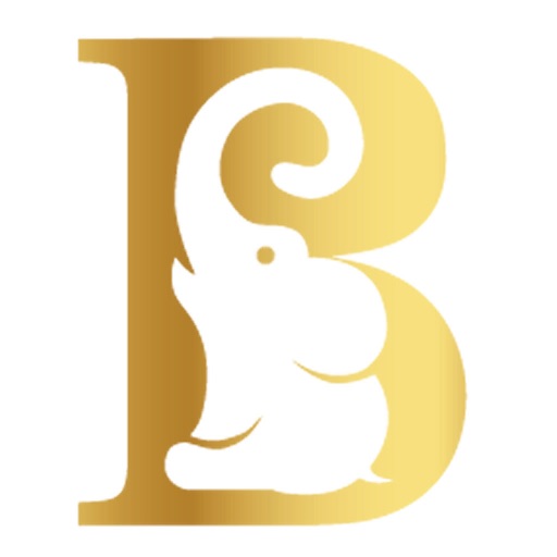 Blue Elephant icon