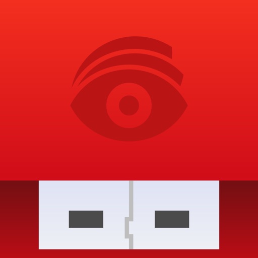 USB Disk Pro Icon