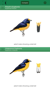 Birds of Brazil screenshot