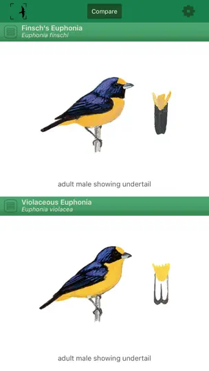 Capture d'écran de Birds Of Brazil sur iPhone 2