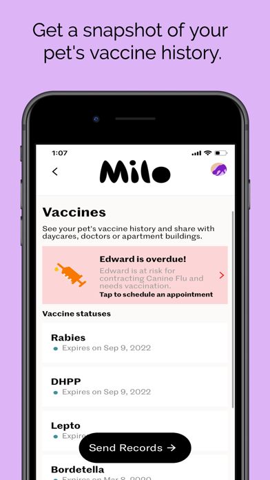 Milo Pets screenshot 4