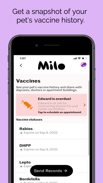 Milo Pets screenshot-3