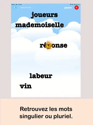 Nuages de mots screenshot 2