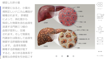 生理学と病理学スクリーンショット