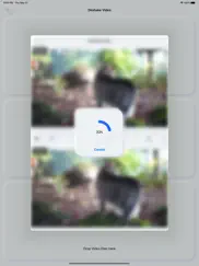 video deshake - stabilizer ipad bildschirmfoto 3