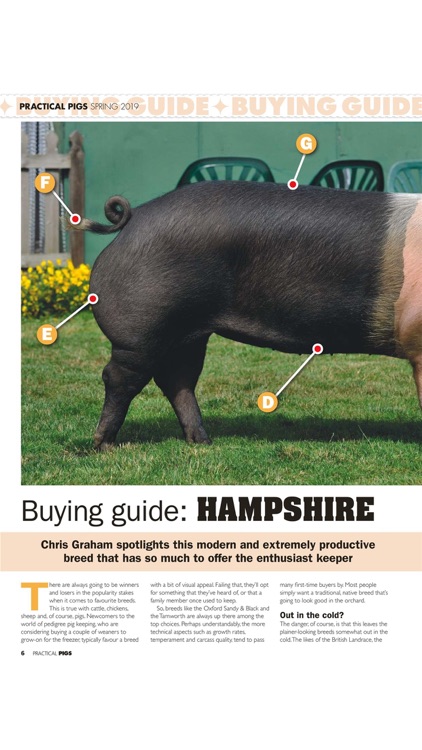 Practical Pigs Magazine screenshot-5