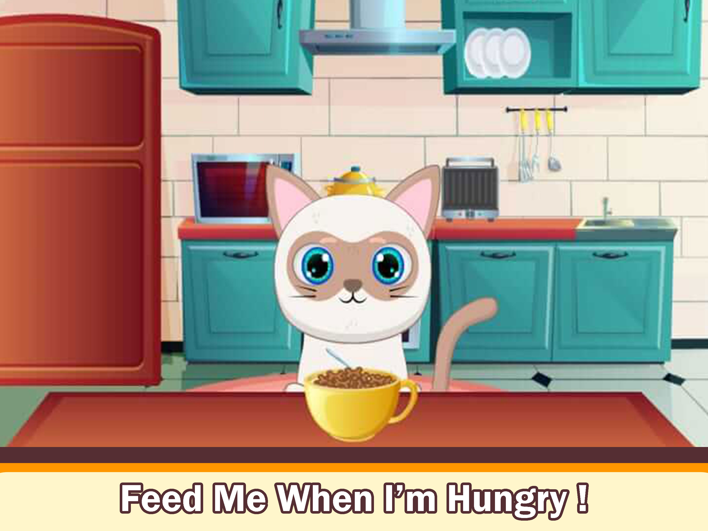 My Cute kitty pet day care