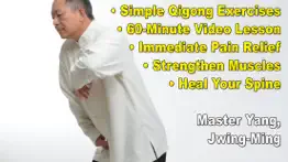 qigong for back pain relief iphone images 4