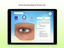 Game screenshot Human Eye Receptors apk