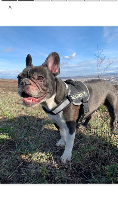 PicDot iPhone screenshot 8 - Photo & Video app