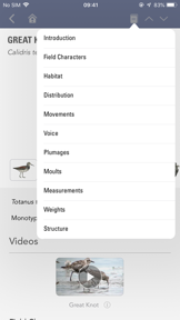 BWP screenshot