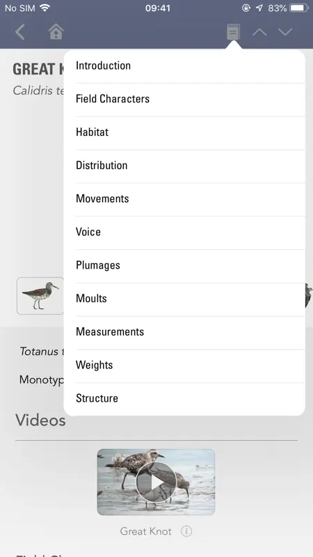 BWP screenshot 8 of 9