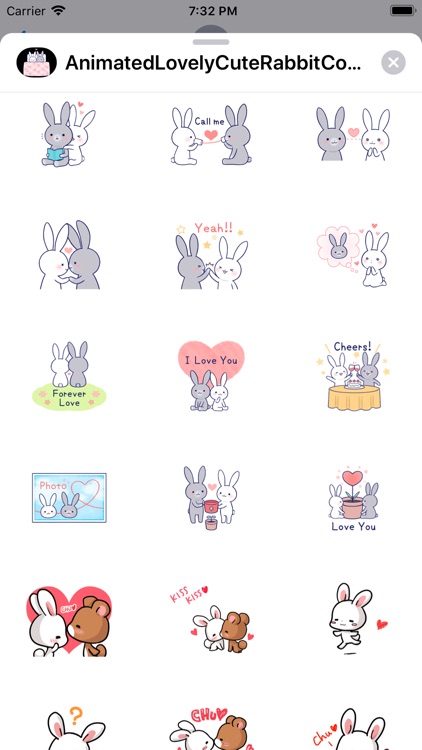 Animated Cute Rabbit Couple