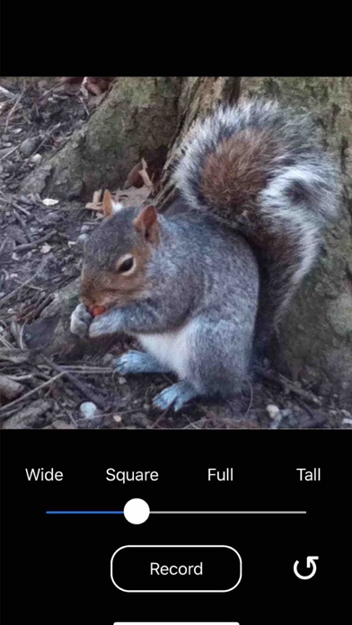 Flex Camera screenshot