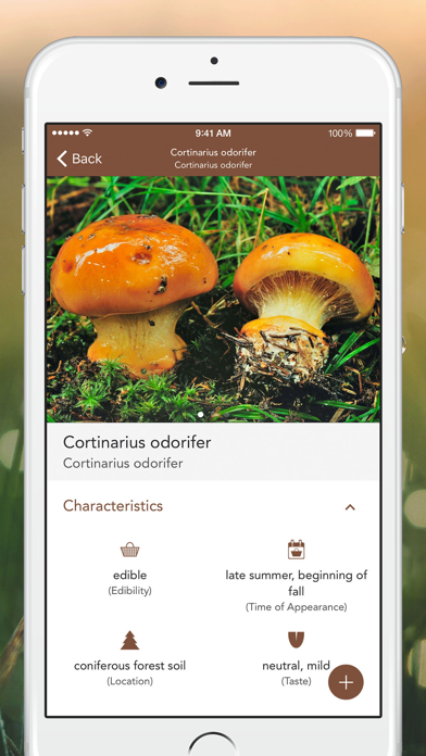 Mushrooms PRO - NATURE MOBILE - For Safe Enjoyment Screenshot 3