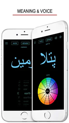 Game screenshot Urdu Words & Writing hack