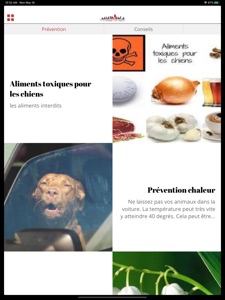 Capture d'écran