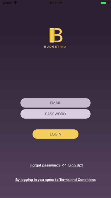 Screenshot #1 pour Budgetina