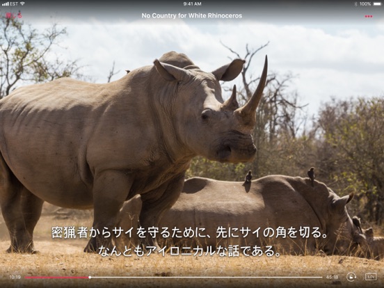 スクリーンショット