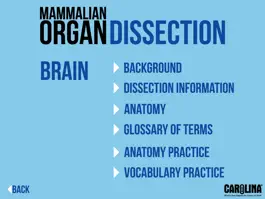 Game screenshot Mammalian Organ Dissection apk