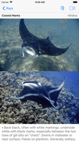 Scuba Fish Hawaii screenshot
