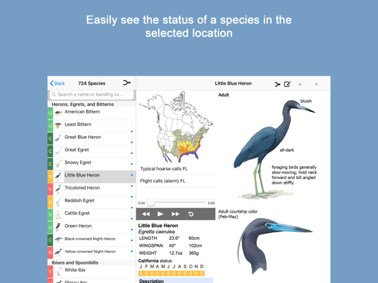 Sibley Birds 2nd Edition iPad app afbeelding 4