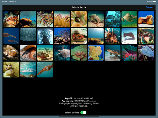 Screenshot #5 pour Aquatic