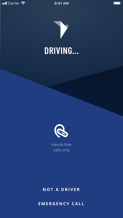 Screenshot #3 pour ORIGOSafeDriver
