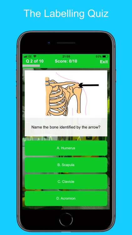 Student Ambulance Revision