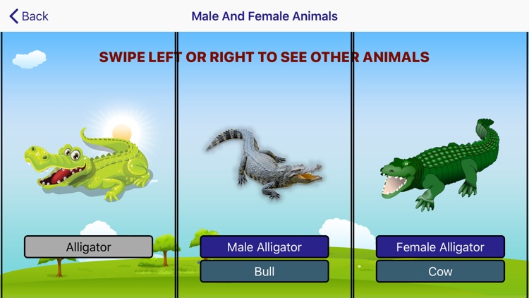LearnAnimalsAndTheirFamily