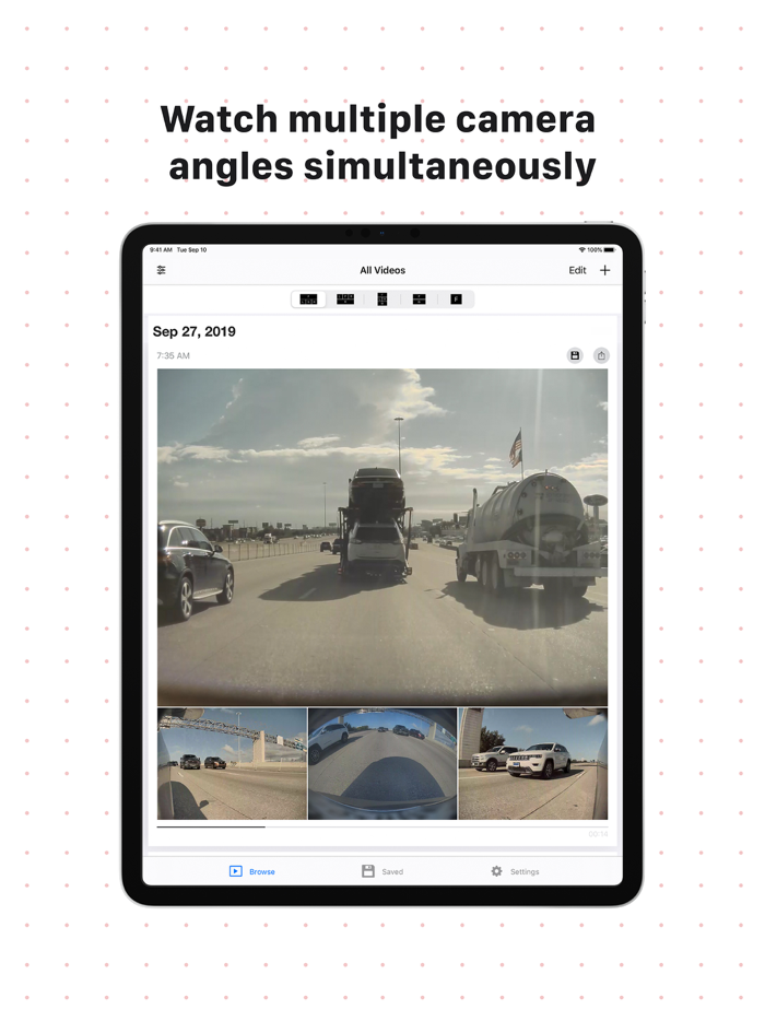 SentiVision for Tesla Vehicles