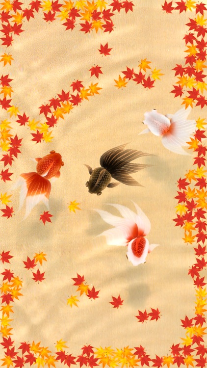 Wa Kingyo - Goldfish Pond
