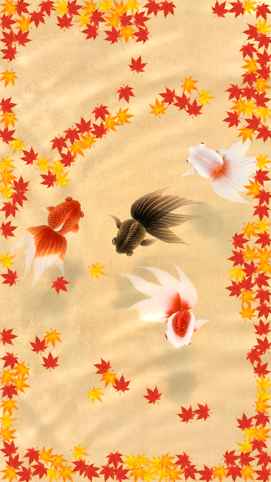 #3. Wa Kingyo - Goldfish Pond (iOS) 由: Masataka Hakozaki