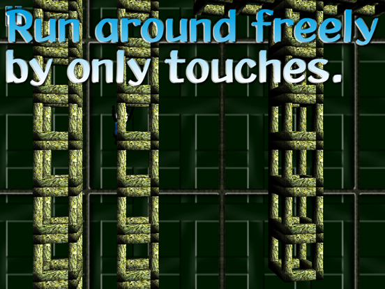 PinDA Run iPad screenshot