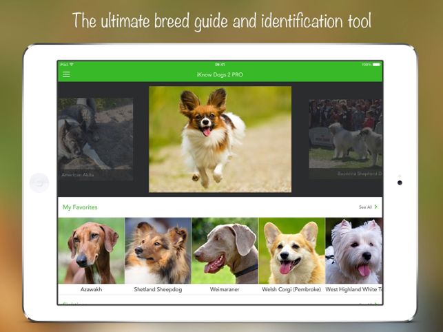 ‎Снимка на екрана на iKnow Dogs 2 PRO