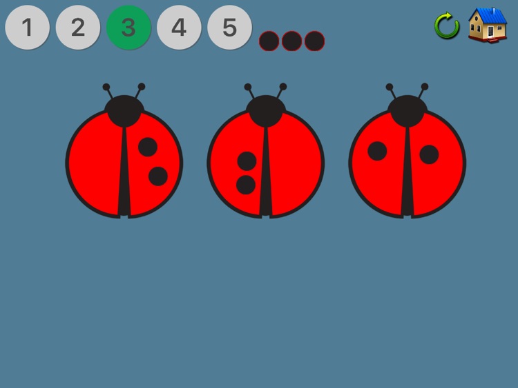 Ladybird Maths screenshot-4
