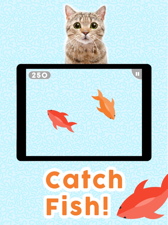 Giochi per gatti! su App Store