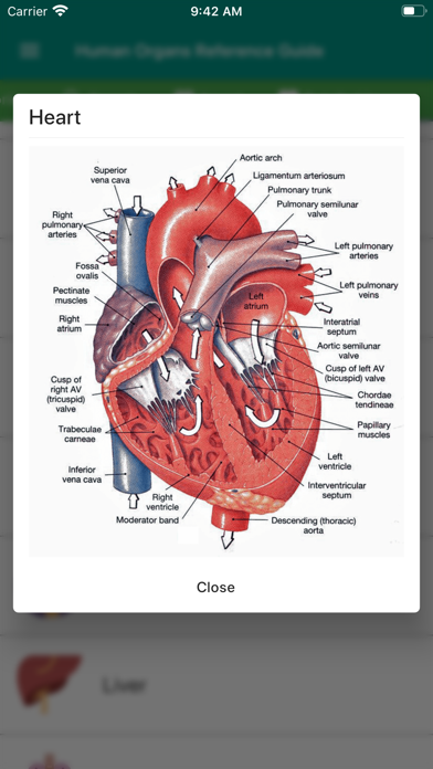 Screenshot #3 pour Human Organs Anatomy Reference