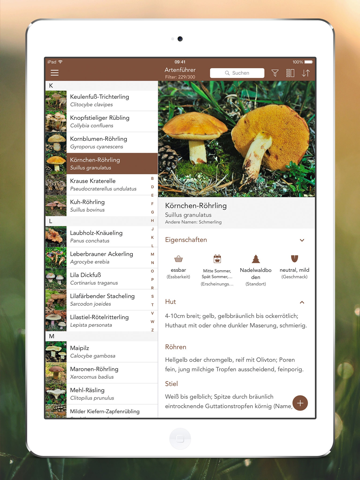 Mushroom LITE - Field Guide screenshot 3