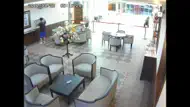 ISpy Cameras iphone bilder 3